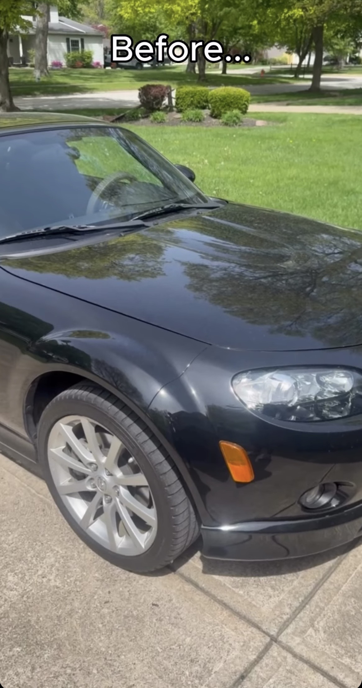 Vehicle exterior professionally detailed