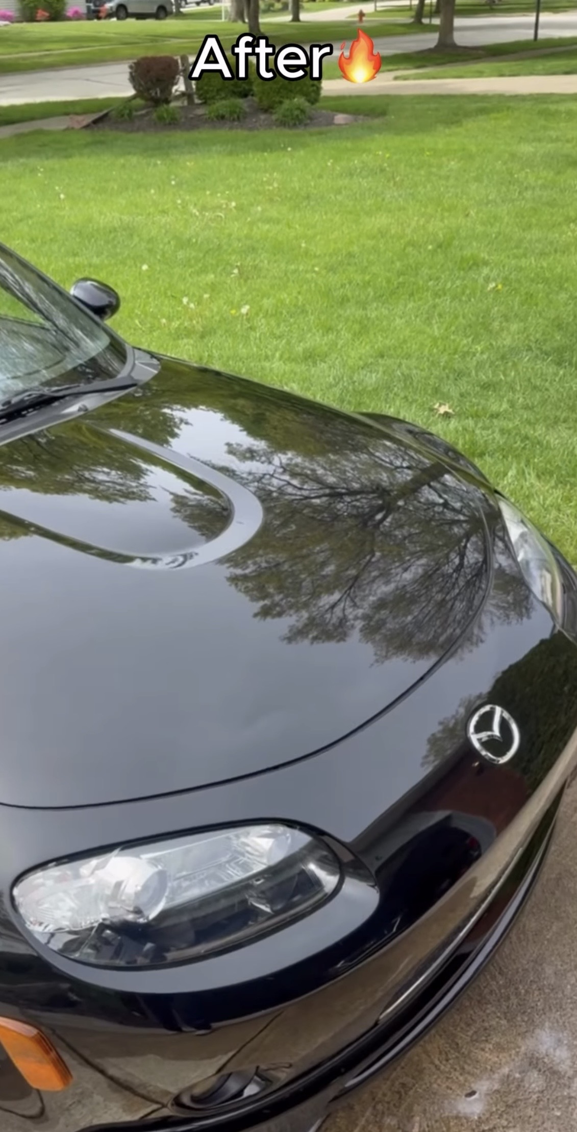 Vehicle paint enhanced for deeper gloss